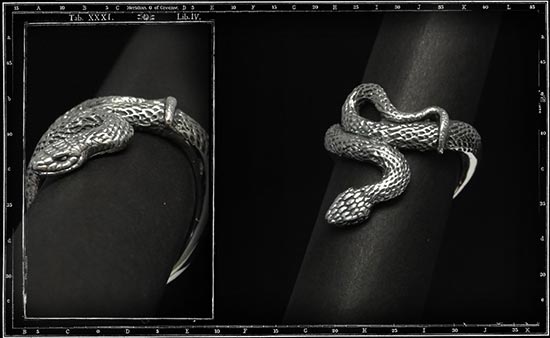 クレイジーピッグ指輪3