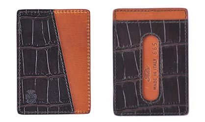 フェリージ定期入れ1