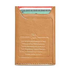 コーチパスケース3