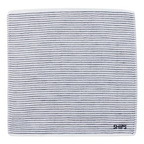 シップスハンカチ2