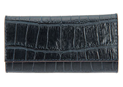 フェリージキーケース1