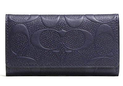 コーチキーケース2