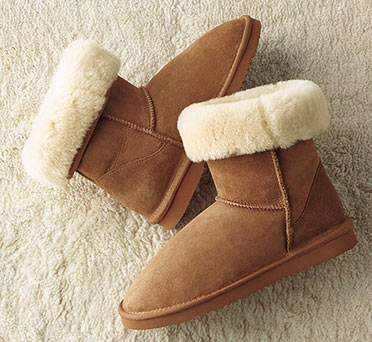 ゴールデンレトリバーブーツ3