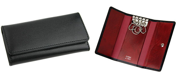 キプリスキーケース3