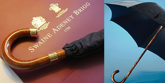 スウェイン・アドニー・ブリッグ2