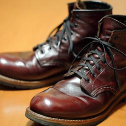 ベックマンエイジング2