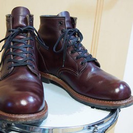 ベックマンエイジング1