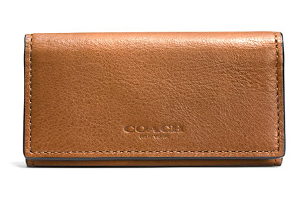 コーチキーケース1