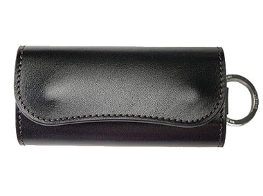 ワイルドスワンズキーケース1