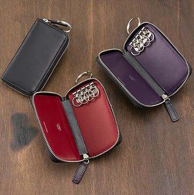 キプリスキーケース2