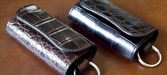 ワイルドスワンズキーケース2