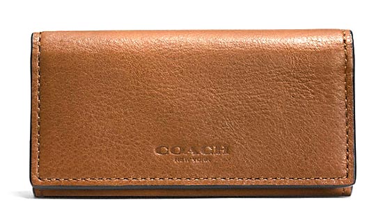 コーチキーケース1