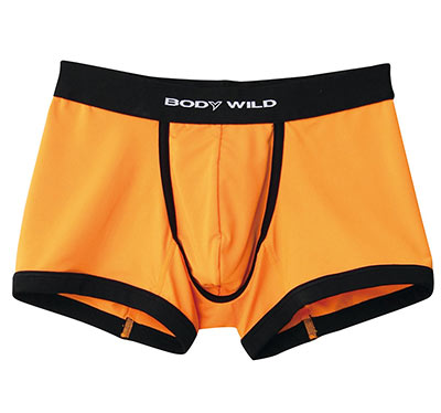 ボディワイルド2