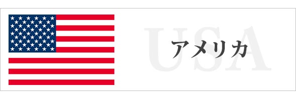 アメリカ