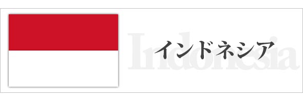 インドネシア