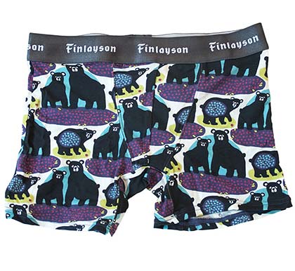 フィンレイソン2