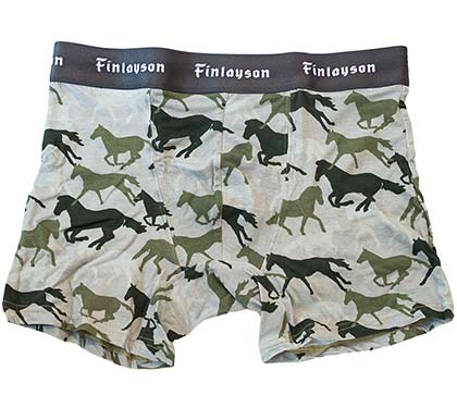 フィンレイソン3