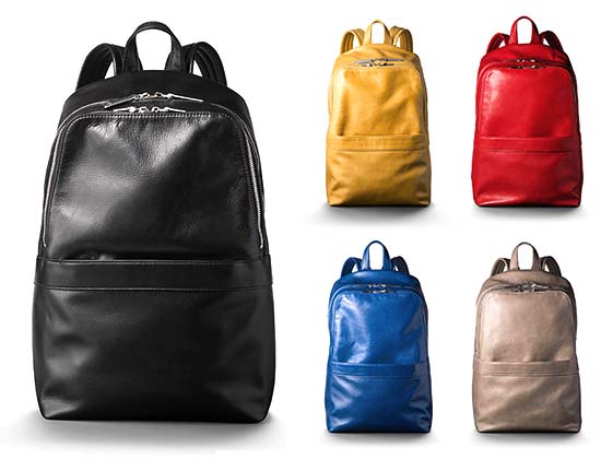 アニアリ-レザーリュック1