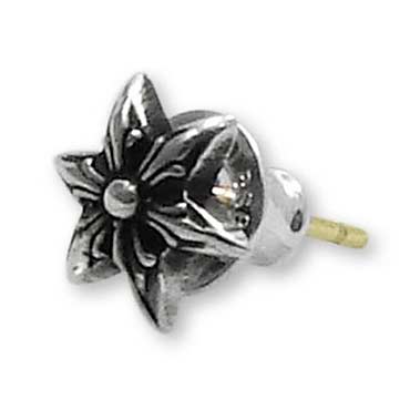 スター-スタッド