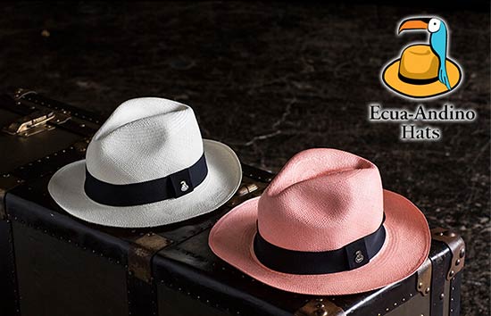 エクアアンディーノ1