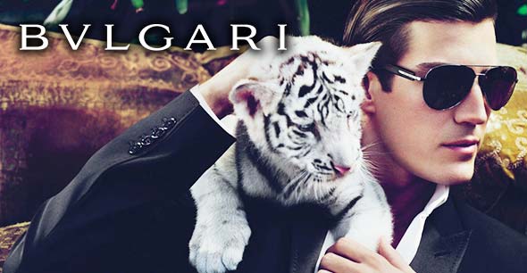 ブルガリ年齢層