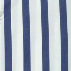 ボールドストライプ