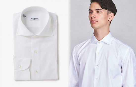 エリコフォルミコラ1