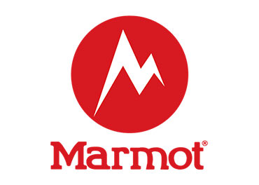 marmot