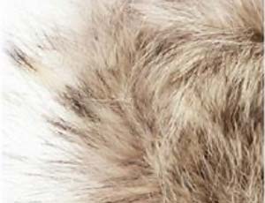 コヨーテファー