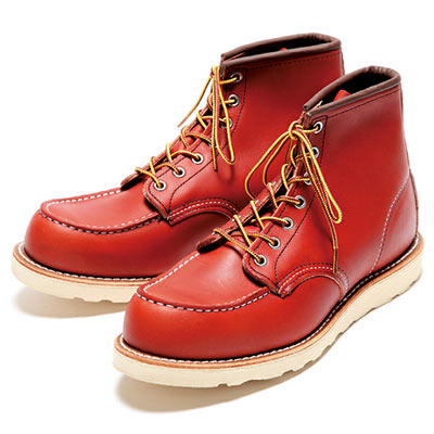 アイリッシュセッター