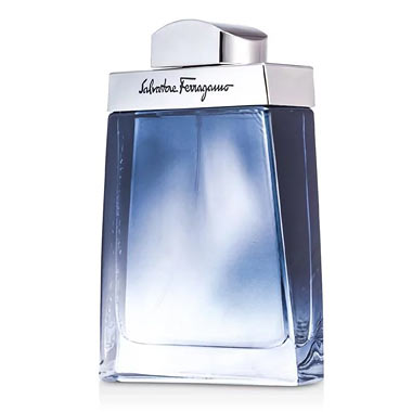  フェラガモ サブティールプールオム