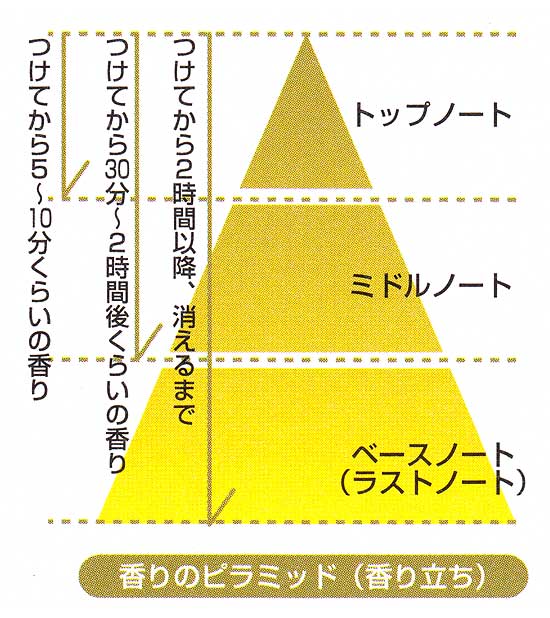 香りのピラミッド