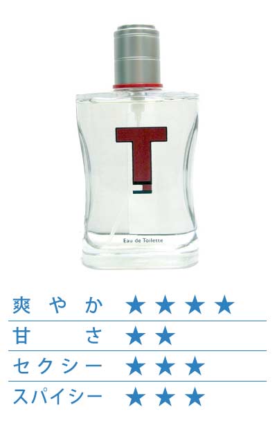 トミー・ヒルフィガー トミーＴ