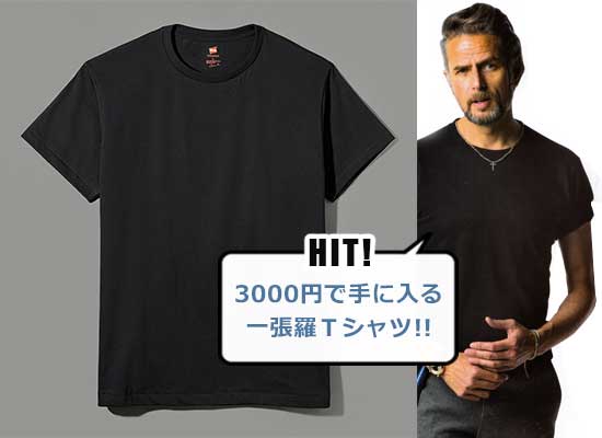 ヘインズ Tシャツ