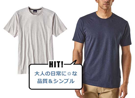 パタゴニア Tシャツ2