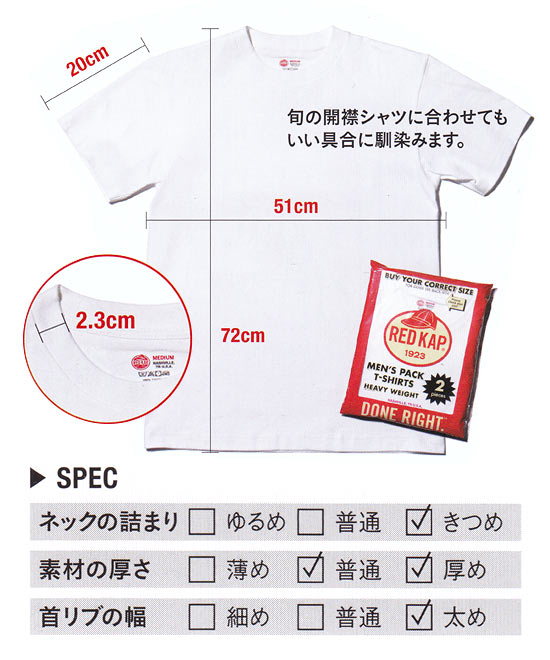 キャンプベルズヴィル アパレル 3PACK T