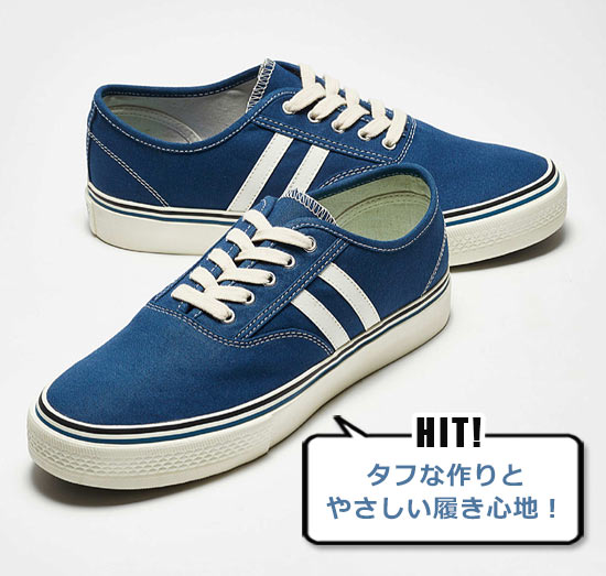 ダストオフ スケシュー